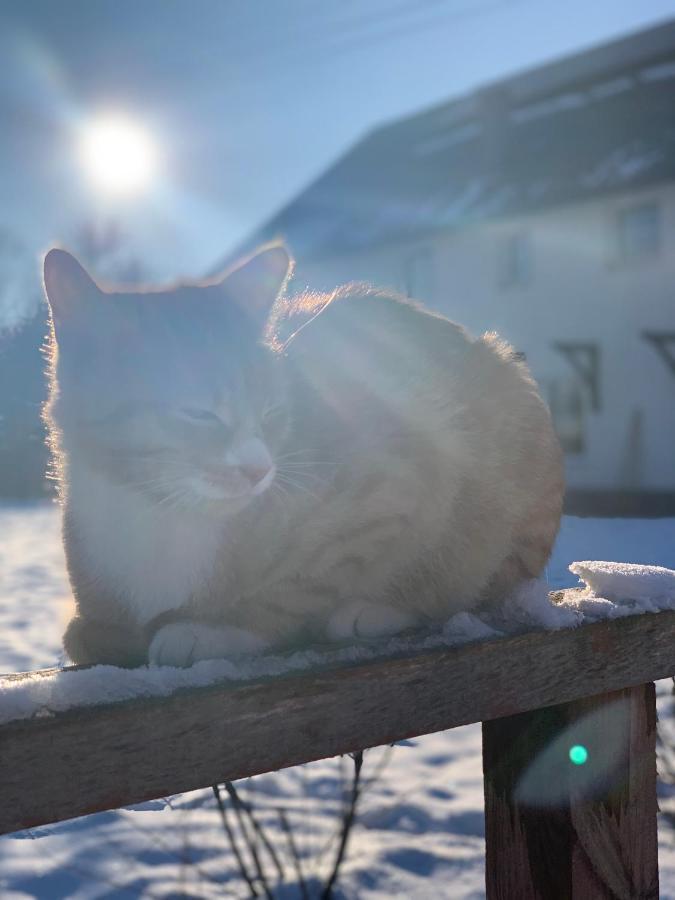 Sarnia Polana Villa Kostrzyca Buitenkant foto