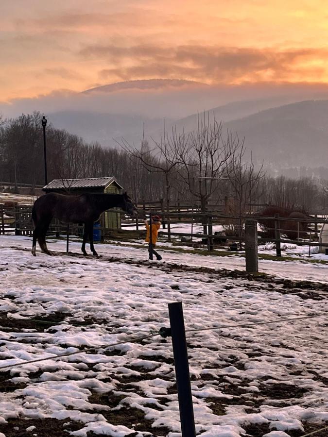 Sarnia Polana Villa Kostrzyca Buitenkant foto